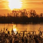 Sonnenaufgang am Ilkerbruch