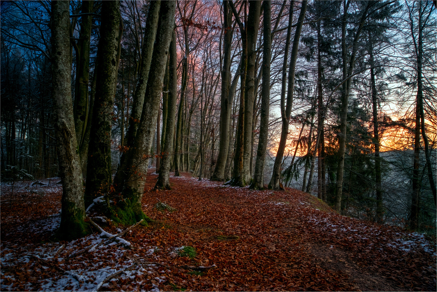 Sonnenaufgang am Isarhochuferweg