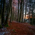 Sonnenaufgang am Isarhochuferweg