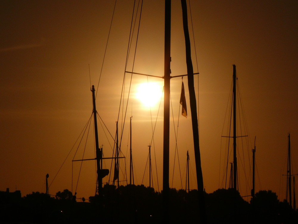 Sonnenaufgang am Jachthafen Cala Dor