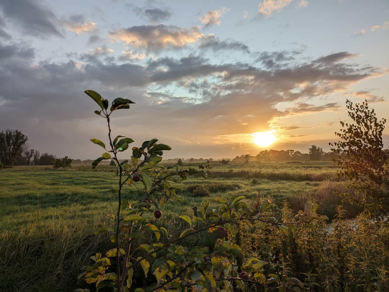 Sonnenaufgang am Jadebusen