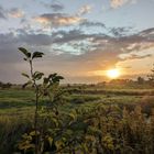 Sonnenaufgang am Jadebusen