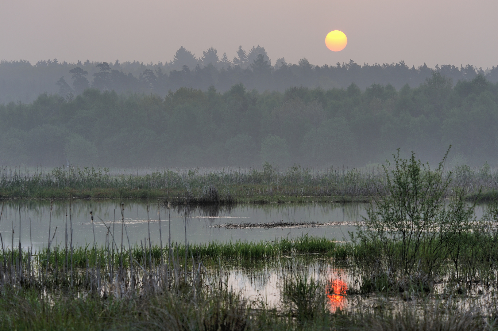 *Sonnenaufgang am Jungferweiher*