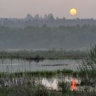 *Sonnenaufgang am Jungferweiher*