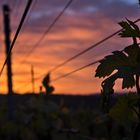 Sonnenaufgang am Kaierstuhl