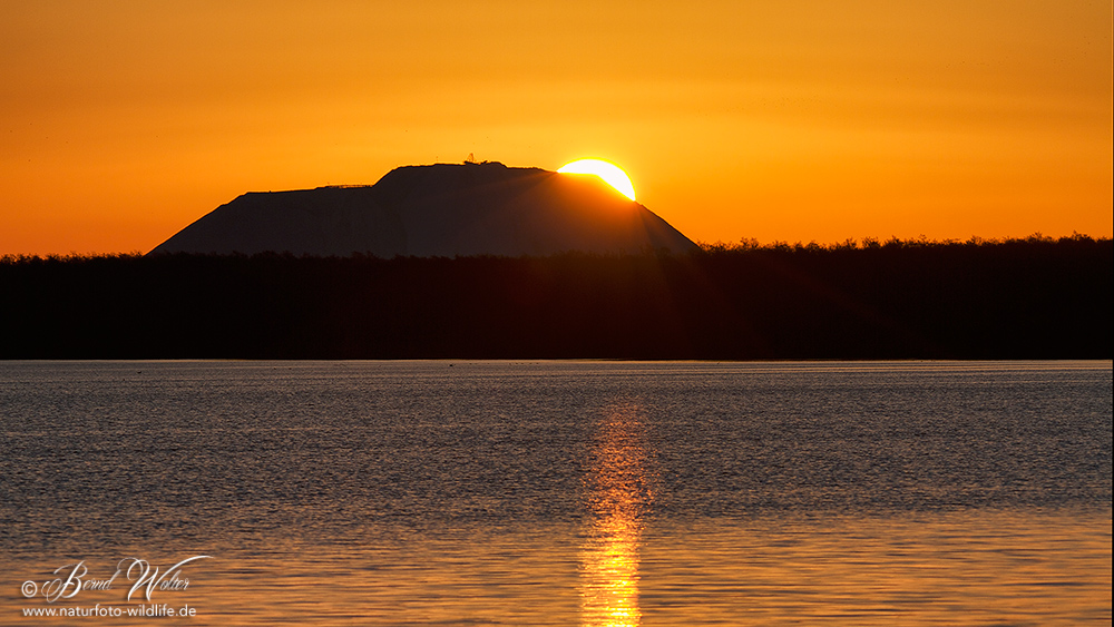 Sonnenaufgang am Kaliberg