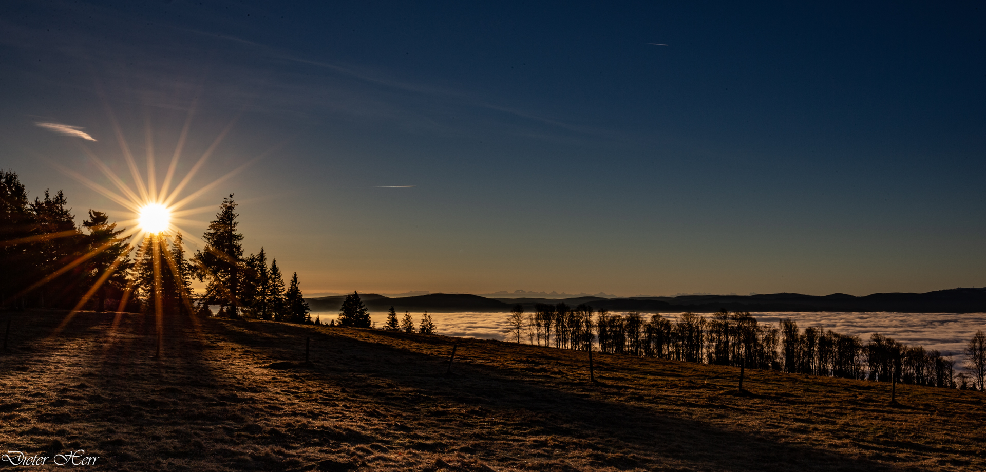 Sonnenaufgang am Kandel Südschwarzwald