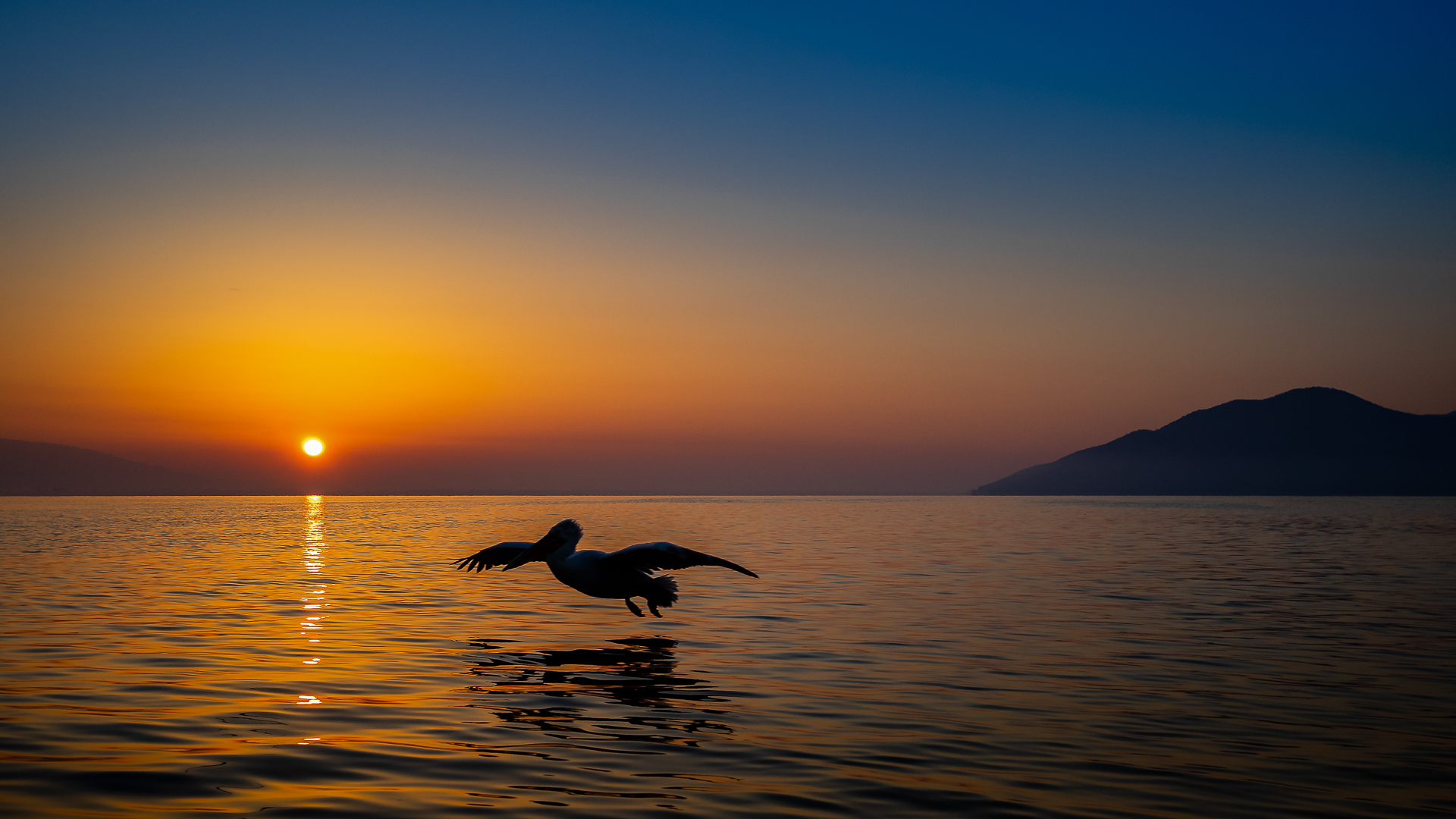 ... Sonnenaufgang am Kerkini See ...