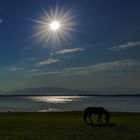 Sonnenaufgang am Kerkinisee Nordgriechenland  