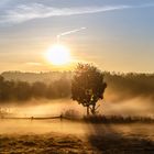 Sonnenaufgang am Kronsberg in Hannover