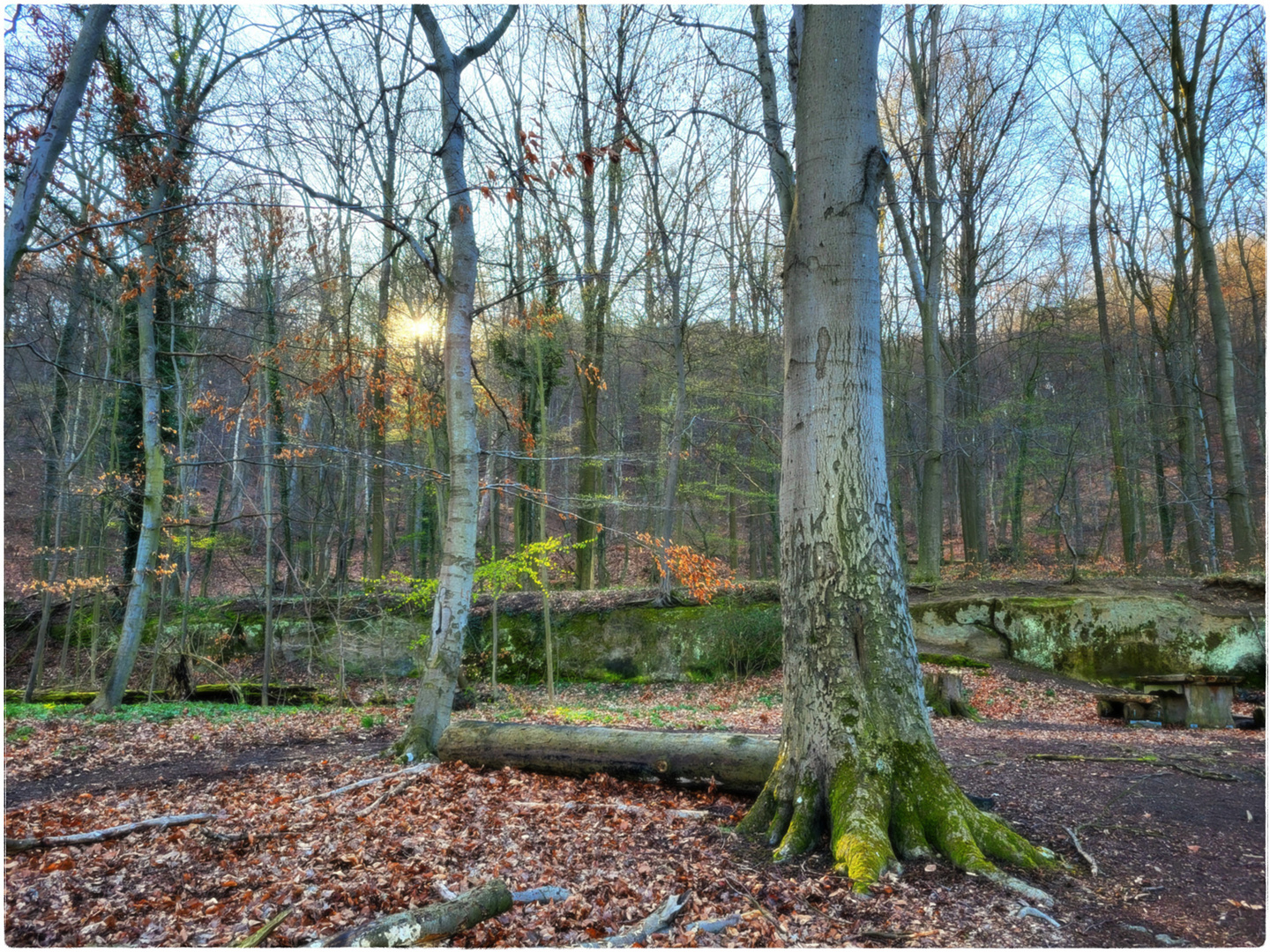 Sonnenaufgang am Laacher See, Eifel