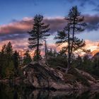 Sonnenaufgang am Lago di Saoseo