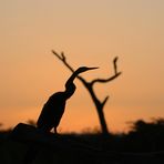 Sonnenaufgang am Lake Baringo