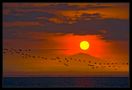 Sonnenaufgang am Lake Manyara von Christa und Bernd 