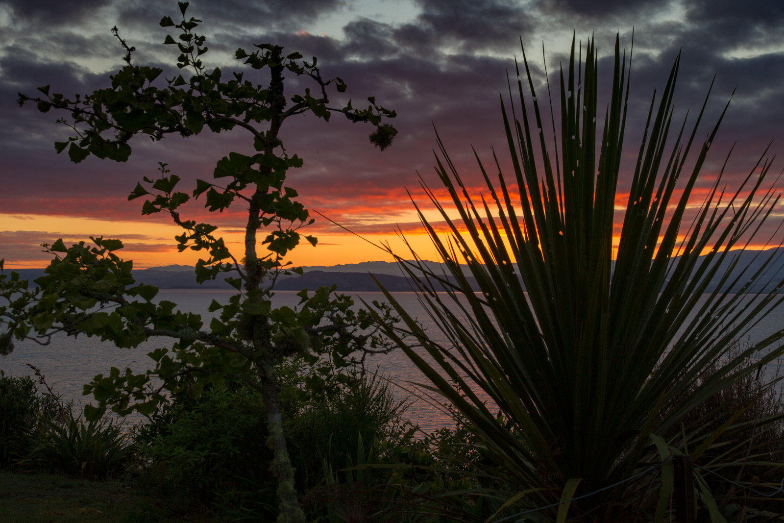 Sonnenaufgang am Lake Taupo - NZ