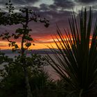 Sonnenaufgang am Lake Taupo - NZ