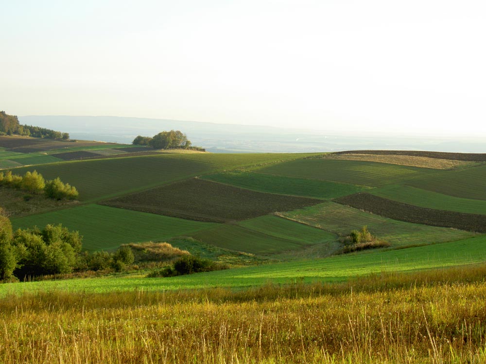 ..Sonnenaufgang am Land..