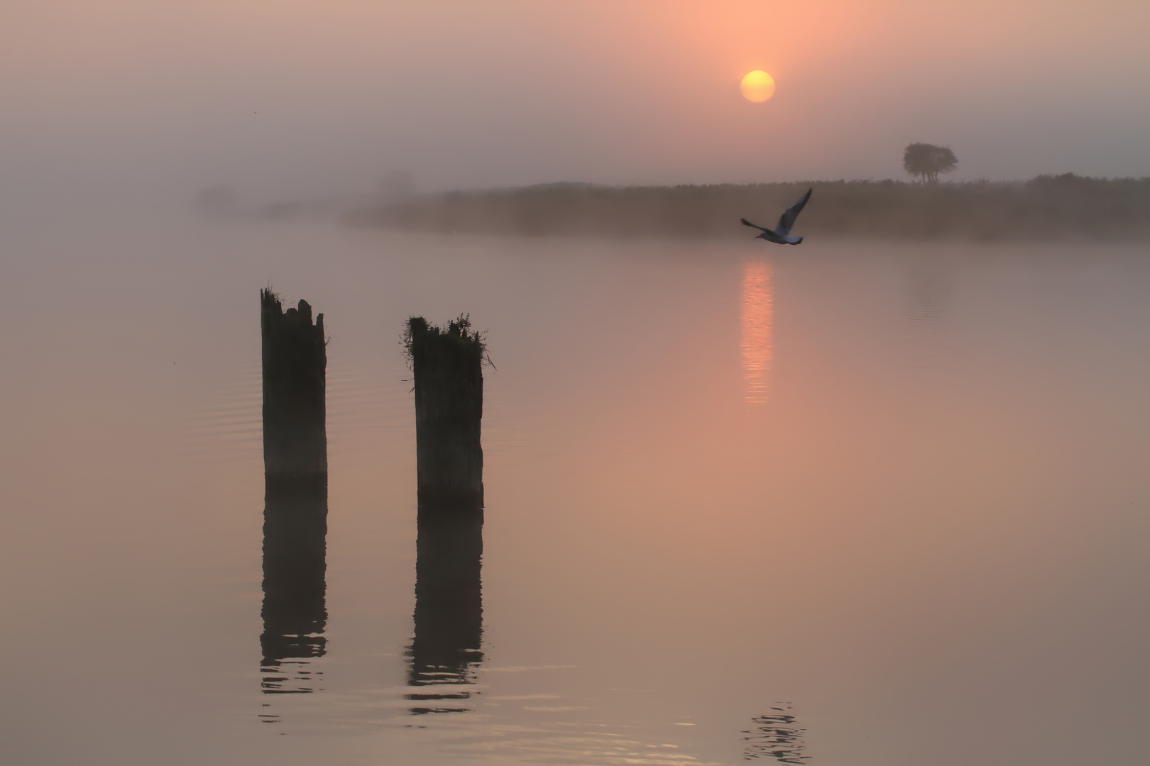 Sonnenaufgang am Lanker See- sunrise at Lanker See