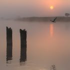 Sonnenaufgang am Lanker See- sunrise at Lanker See