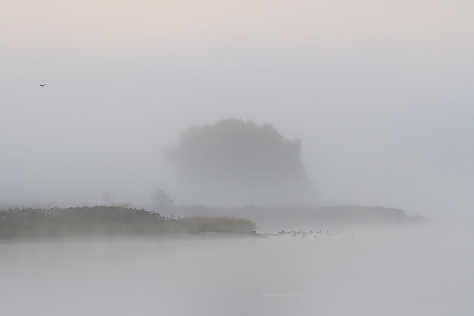 Sonnenaufgang am Lanker See - sunrise at Lanker See