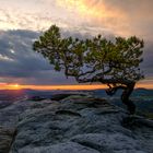 Sonnenaufgang am Lilienstein