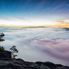 Sonnenaufgang am Lilienstein 