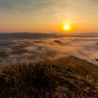 Sonnenaufgang am Lilienstein