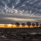 Sonnenaufgang am Linken Niederrhein