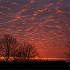 Sonnenaufgang am linken Niederrhein ....