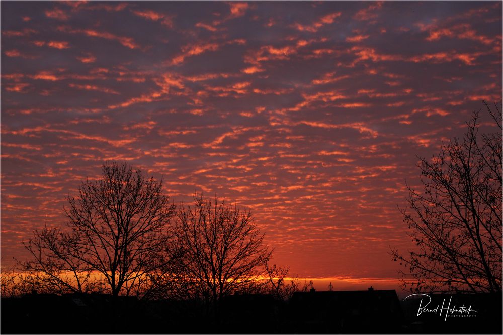 Sonnenaufgang am linken Niederrhein ....