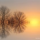 Sonnenaufgang am linken Niederrhein ....