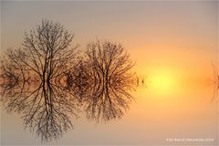 Sonnenaufgang am linken Niederrhein ....