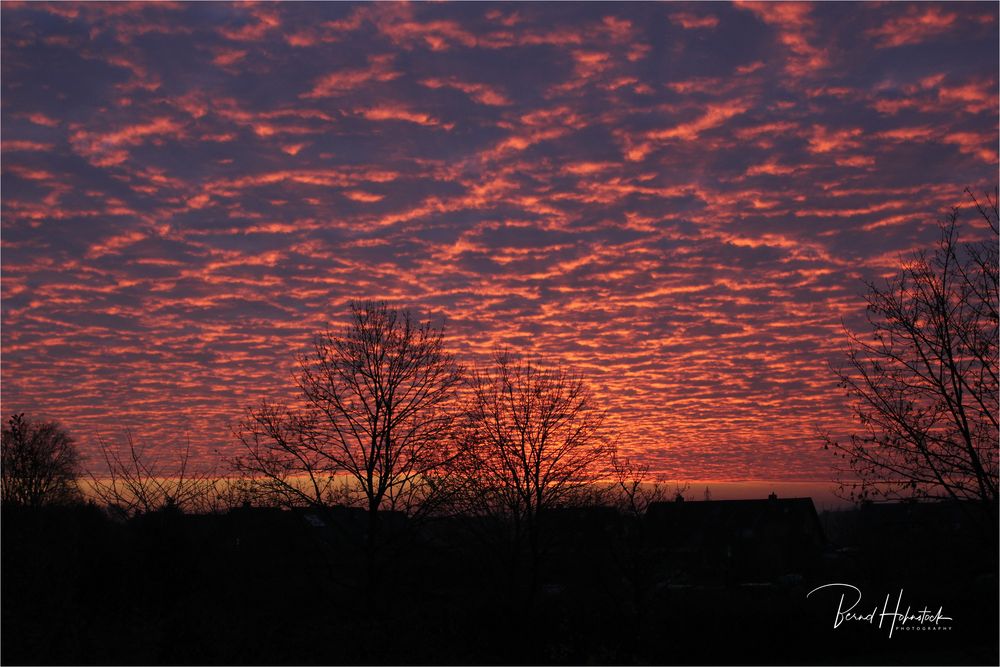 Sonnenaufgang am linken Niederrhein ....