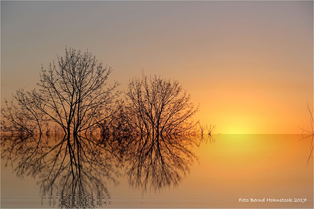 Sonnenaufgang am linken Niederrhein ....