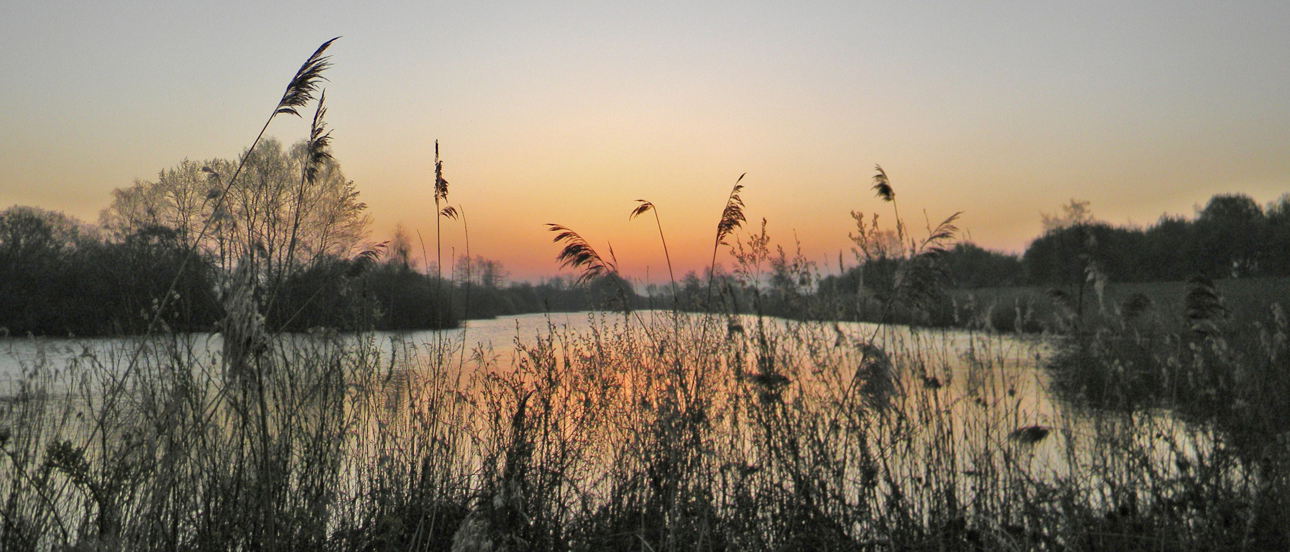 Sonnenaufgang am Lüscher Polder