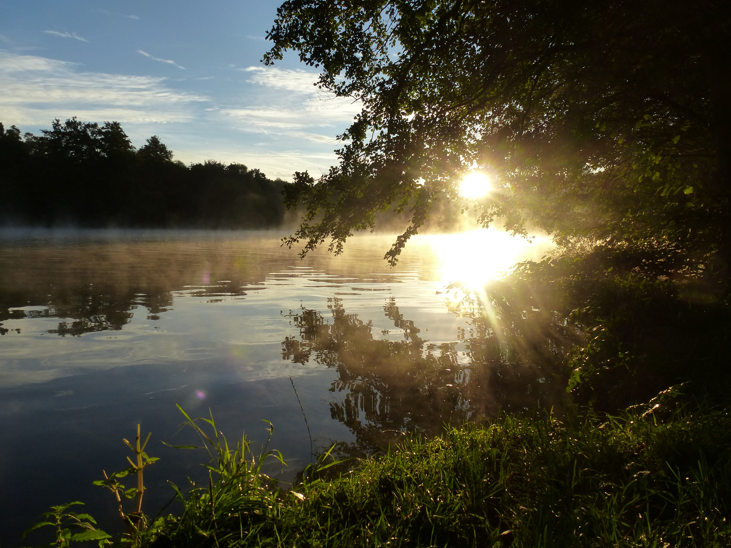 Sonnenaufgang am Main