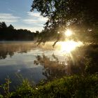 Sonnenaufgang am Main