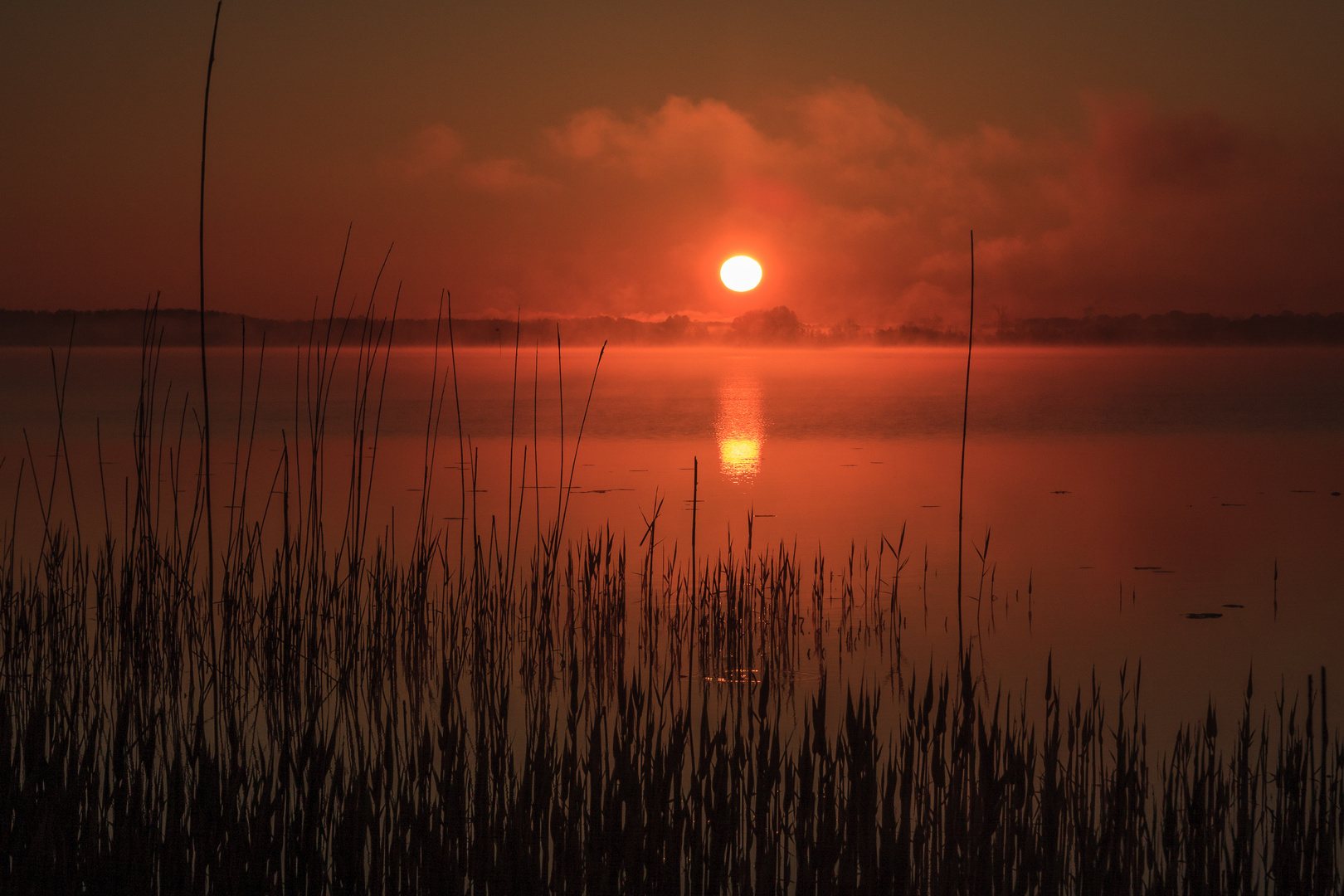 Sonnenaufgang am Malchiner See