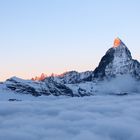 Sonnenaufgang am Matterhorn (1026)