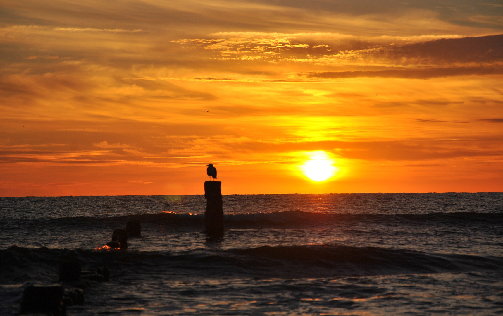 Sonnenaufgang am Meer