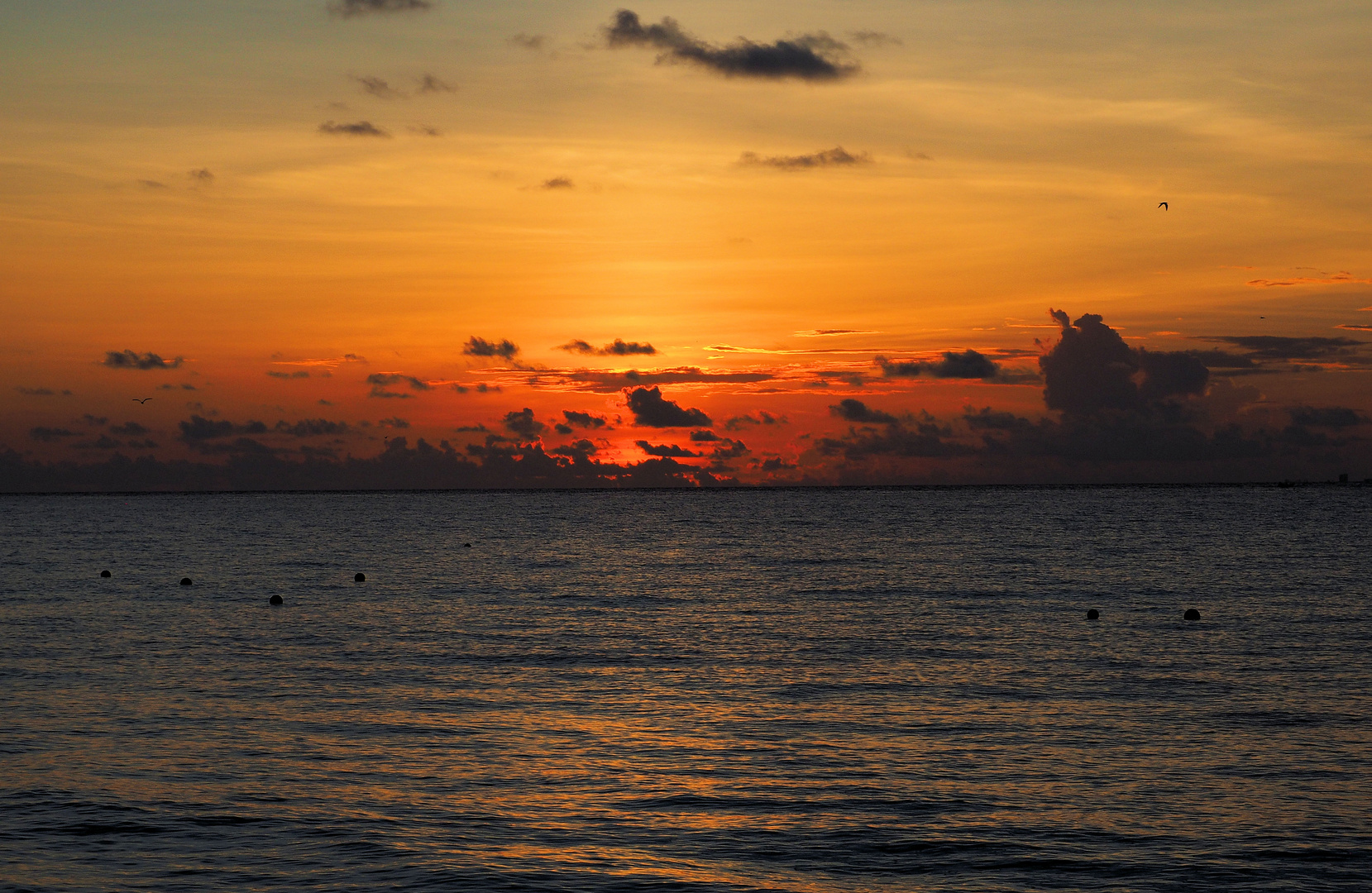 Sonnenaufgang am Meer ...