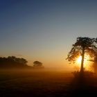 Sonnenaufgang am Meer