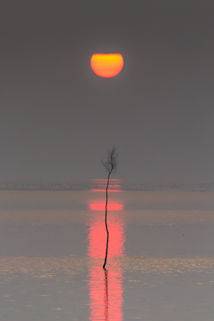 Sonnenaufgang am Meer