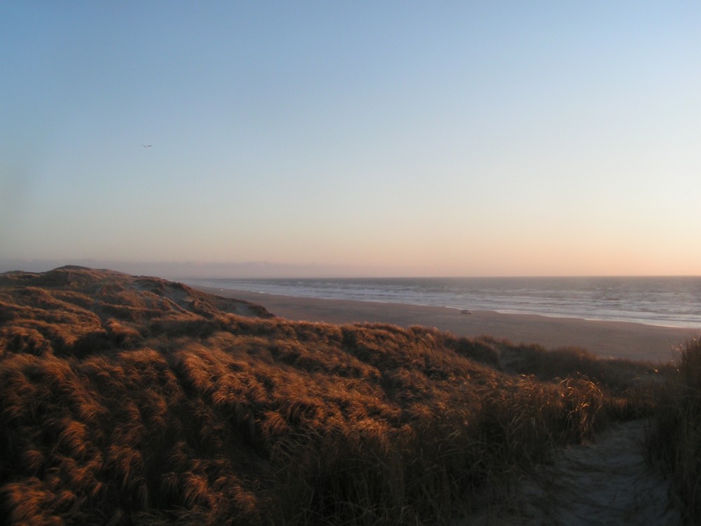 Sonnenaufgang am Meer