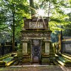 Sonnenaufgang am Melaten Friedhof