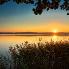 Sonnenaufgang am Mellensee