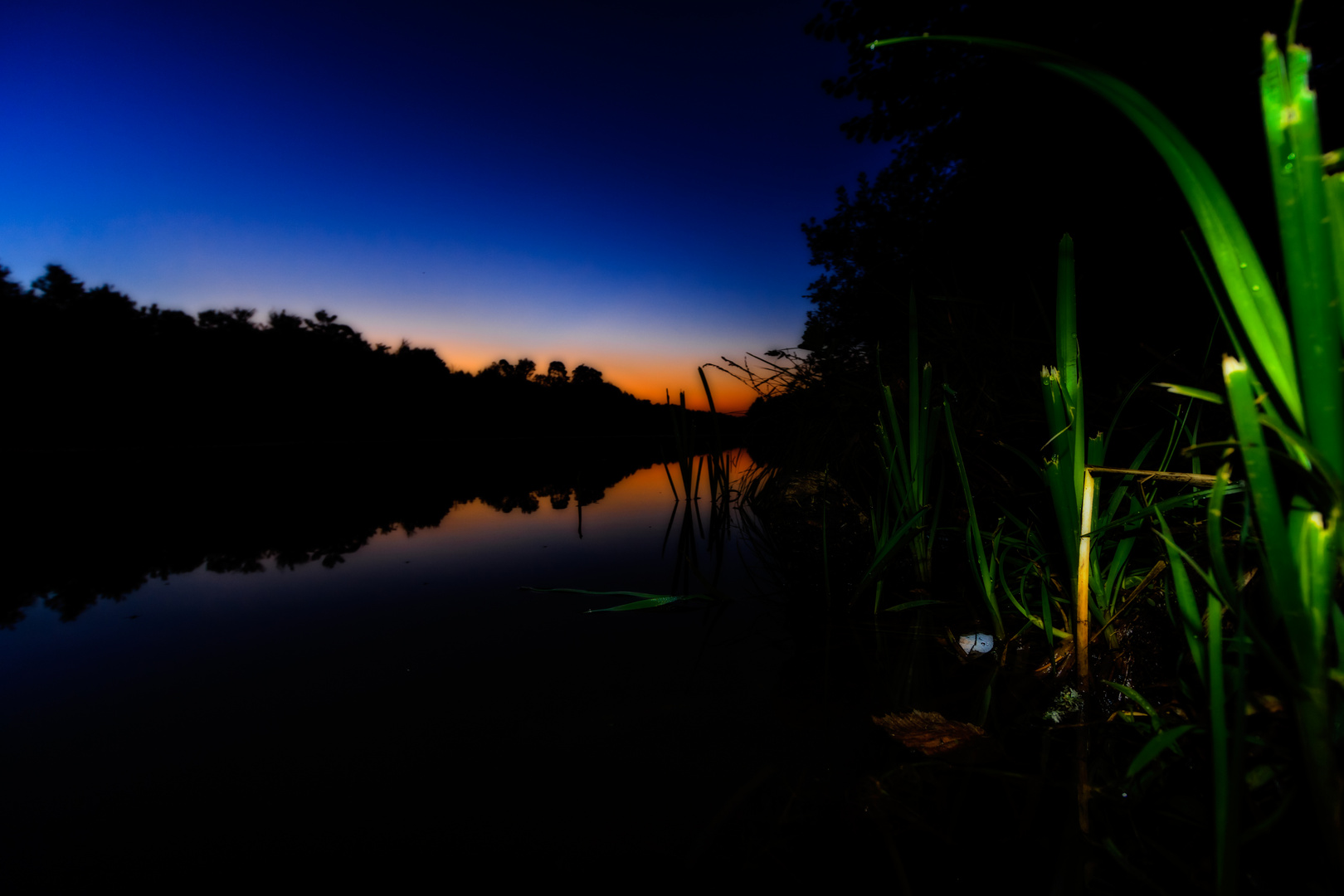 Sonnenaufgang am Möhlwoog