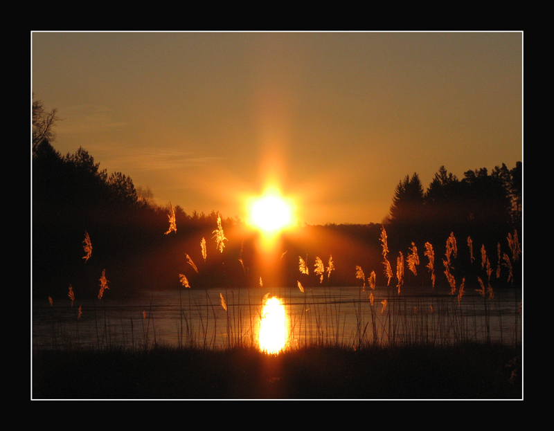 Sonnenaufgang am Möhlwoog