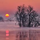 Sonnenaufgang am Möwensee