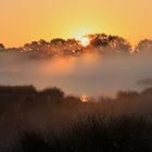 Sonnenaufgang am Moorteich im Herbst - sunrise at moor pond in autumn